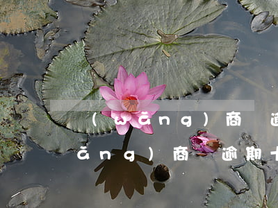 網(wǎng)商貸逾期10多分鐘(網(wǎng)商貸逾期十天了什么時候能恢復(fù)使用)
