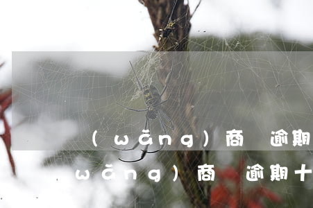 網(wǎng)商貸逾期10天怎么樣(網(wǎng)商貸逾期十天了什么時(shí)候能恢復(fù)使用)