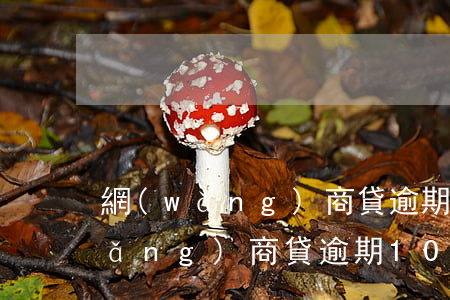 網(wǎng)商貸逾期10天還款(網(wǎng)商貸逾期10天還款)