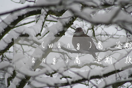 網(wǎng)商貸逾期14天還了(網(wǎng)商貸逾期還款的后果,真是坑到你無法想象)