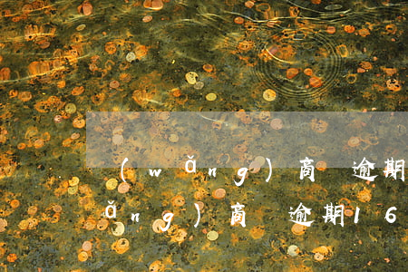 網(wǎng)商貸逾期16萬多久(網(wǎng)商貸逾期16萬多久)