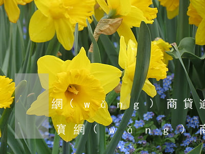 網(wǎng)商貸逾期2個月后果-支付寶網(wǎng)商貸逾期兩個月還款還可以借嗎!