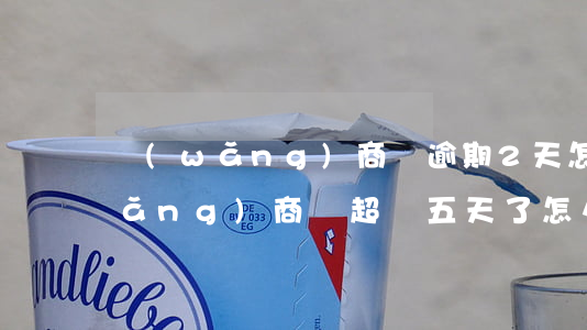 網(wǎng)商貸逾期2天怎么辦(網(wǎng)商貸超過五天了怎么辦)
