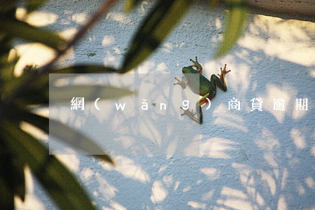 網(wǎng)商貸逾期300多塊