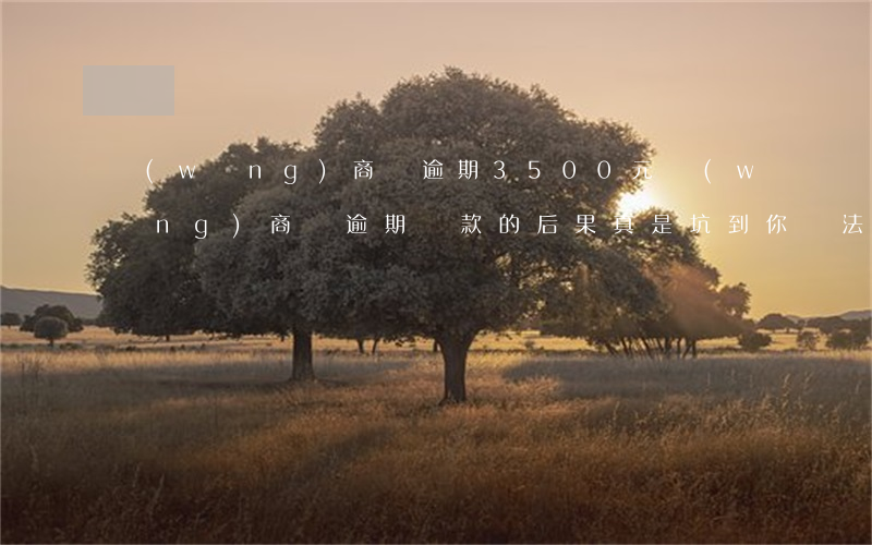 網(wǎng)商貸逾期3500元(網(wǎng)商貸逾期還款的后果,真是坑到你無法想象)