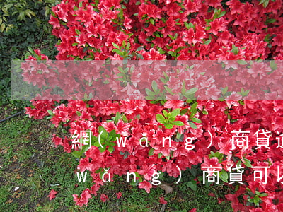 網(wǎng)商貸逾期3天怎么開通(網(wǎng)商貸可以逾期4天嗎)