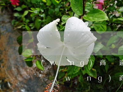 網(wǎng)商貸逾期40萬以上會坐牢嗎(網(wǎng)商貸二十萬逾期違法嗎)