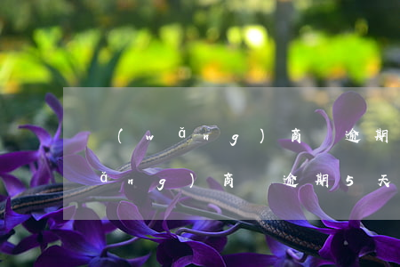 網(wǎng)商貸逾期4天借不出(網(wǎng)商貸逾期5天后還款要多久才能再用)