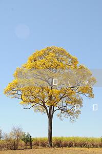 網(wǎng)商貸逾期4天有問(wèn)題嗎(網(wǎng)商貸超過(guò)五天了怎么辦)