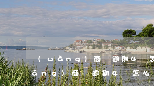 網(wǎng)商貸逾期4萬怎么辦(網(wǎng)商貸逾期4萬怎么辦)