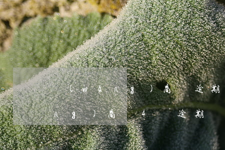 網(wǎng)商貸逾期4萬起訴(網(wǎng)商貸4萬逾期)