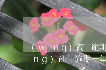 網(wǎng)商貸逾期50天還了(網(wǎng)商貸逾期一年逾期費)