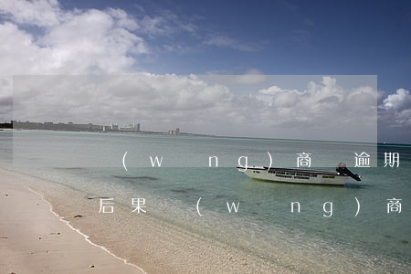 網(wǎng)商貸逾期6個(gè)月的后果(網(wǎng)商貸逾期一年逾期費(fèi))
