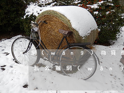 網(wǎng)商貸逾期7個(gè)月了怎么辦(網(wǎng)商貸逾期4個(gè)月,說(shuō)要按流程辦事,會(huì)坐牢嗎?)