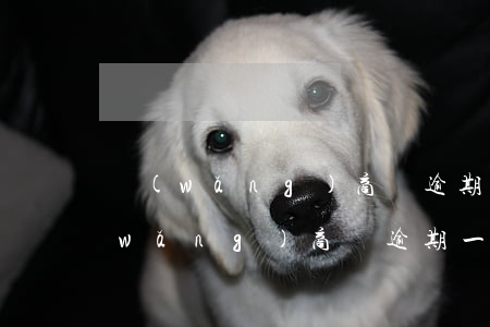 網(wǎng)商貸逾期80天被起訴(網(wǎng)商貸逾期一年了說被起訴了真的假的)