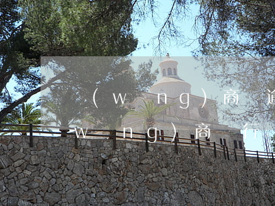 網(wǎng)商貸逾期80萬怎么辦(網(wǎng)商銀行網(wǎng)商貸逾期九十天說要上門)