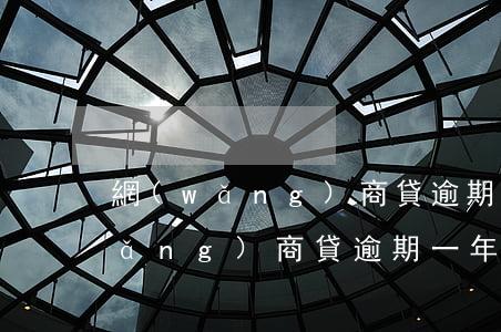 網(wǎng)商貸逾期90天后果(網(wǎng)商貸逾期一年逾期費)
