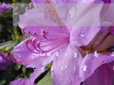 網(wǎng)商貸逾期一個(gè)月嚴(yán)重嗎(網(wǎng)商貸逾期一年親身經(jīng)歷)