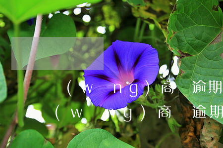 網(wǎng)商貸逾期一天就不能借款 網(wǎng)商貸逾期一天怎么辦不小心逾期一天