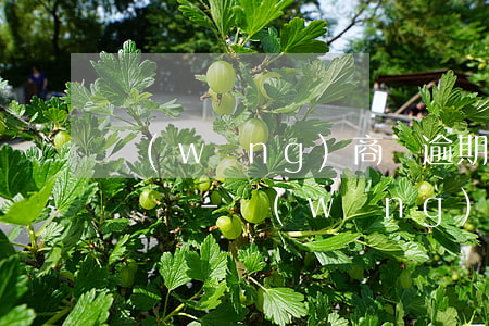 網(wǎng)商貸逾期一天影響花唄和借唄嗎-網(wǎng)商貸逾期一天,會(huì)影響額度
