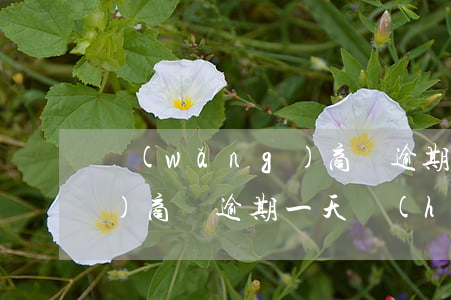 網(wǎng)商貸逾期一天 網(wǎng)商貸逾期一天會(huì)什么后果