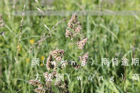 網(wǎng)商貸逾期一天補(bǔ)救方法(網(wǎng)商貸逾期后要求提前一次性還清怎么辦)