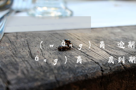 網(wǎng)商貸逾期一天開額度(網(wǎng)商貸額度到期日)