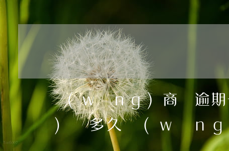 網(wǎng)商貸逾期一天關(guān)愛多久(網(wǎng)商貸逾期一天會有什么后果?,有獎問答)