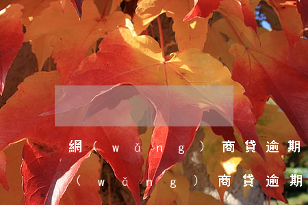 網(wǎng)商貸逾期一天額度還有嗎(網(wǎng)商貸逾期一周我額度沒了)