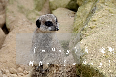 網(wǎng)商貸逾期一年以上怎么辦信用卡-網(wǎng)商貸逾期一年以上怎么辦信用卡還款