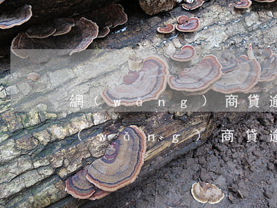 網(wǎng)商貸逾期一年會被起訴么 網(wǎng)商貸逾期一個多月說要起訴