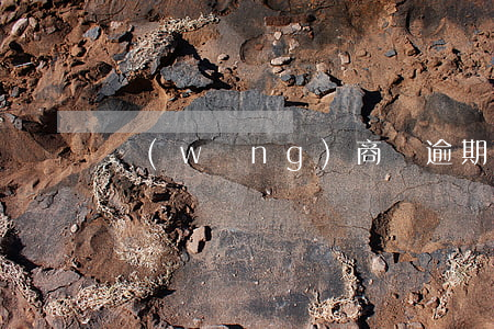 網(wǎng)商貸逾期一次性付清