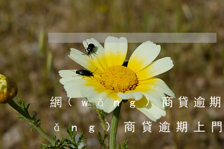 網(wǎng)商貸逾期上門取證-網(wǎng)商貸逾期上門取證