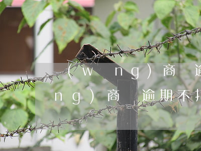 網(wǎng)商貸逾期不打算還(網(wǎng)商貸逾期不打算還)