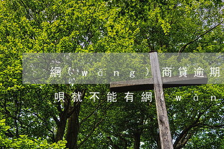 網(wǎng)商貸逾期不能使用借唄(有借唄就不能有網(wǎng)商貸嗎)