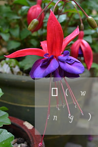 網(wǎng)商貸逾期 不能貸了(網(wǎng)商貸逾期 不能貸了怎么辦)