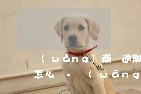 網(wǎng)商貸逾期不還會(huì)怎么樣-網(wǎng)商貸逾期不還會(huì)怎么樣呢?