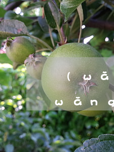 網(wǎng)商貸逾期不還會坐牢嗎(網(wǎng)商貸不還會坐牢不)