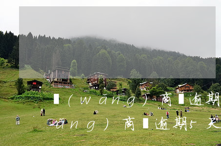 網(wǎng)商貸逾期了五天才還(網(wǎng)商貸逾期5天后還款要多久才能再用)