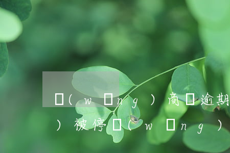 網(wǎng)商貸逾期了借唄會(huì)被停(網(wǎng)商貸關(guān)閉借唄額度會(huì)恢復(fù)么)