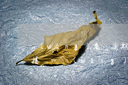 網(wǎng)商貸逾期了催款電話可以不接嗎-網(wǎng)商貸逾期了催款電話可以不接嗎怎么辦