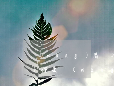網(wǎng)商貸逾期了多久會(huì)催收(網(wǎng)商貸逾期多久會(huì)被起訴會(huì)有什么后果)