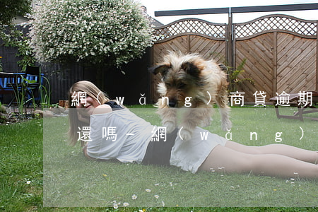 網(wǎng)商貸逾期了怎么不能一筆筆還嗎-網(wǎng)商貸逾期無(wú)法單筆還款