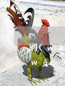 網(wǎng)商貸逾期了房貸能下嗎(網(wǎng)商貸有欠款可以申請房貸嗎)
