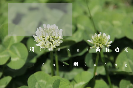 網(wǎng)商貸逾期了每月還一點(diǎn)(網(wǎng)商貸沒逾期按時(shí)還款,為什么額度降了)