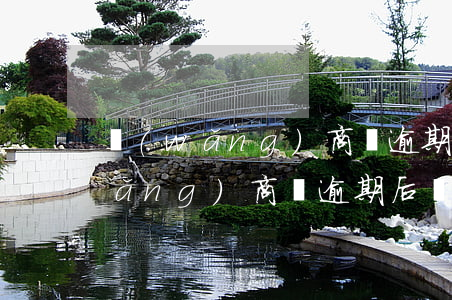 網(wǎng)商貸逾期了還不起了(網(wǎng)商貸逾期后,現(xiàn)在還不進去)