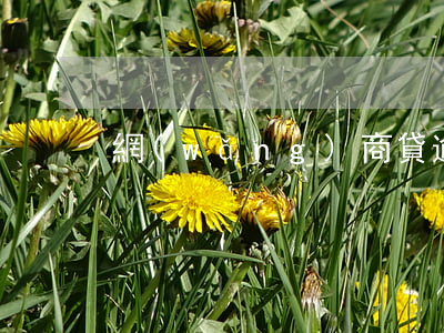 網(wǎng)商貸逾期事例