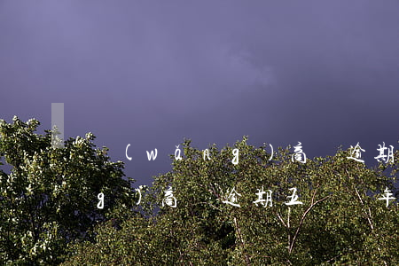 網(wǎng)商貸逾期五萬-網(wǎng)商貸逾期五萬,兩年多了,催收說起訴我