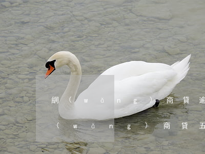 網(wǎng)商貸逾期五萬多久起訴(欠網(wǎng)商貸五萬多會(huì)被起訴嗎)