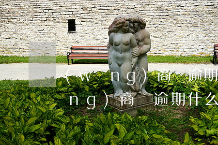 網(wǎng)商貸逾期什么后果-網(wǎng)商貸逾期什么后果啊